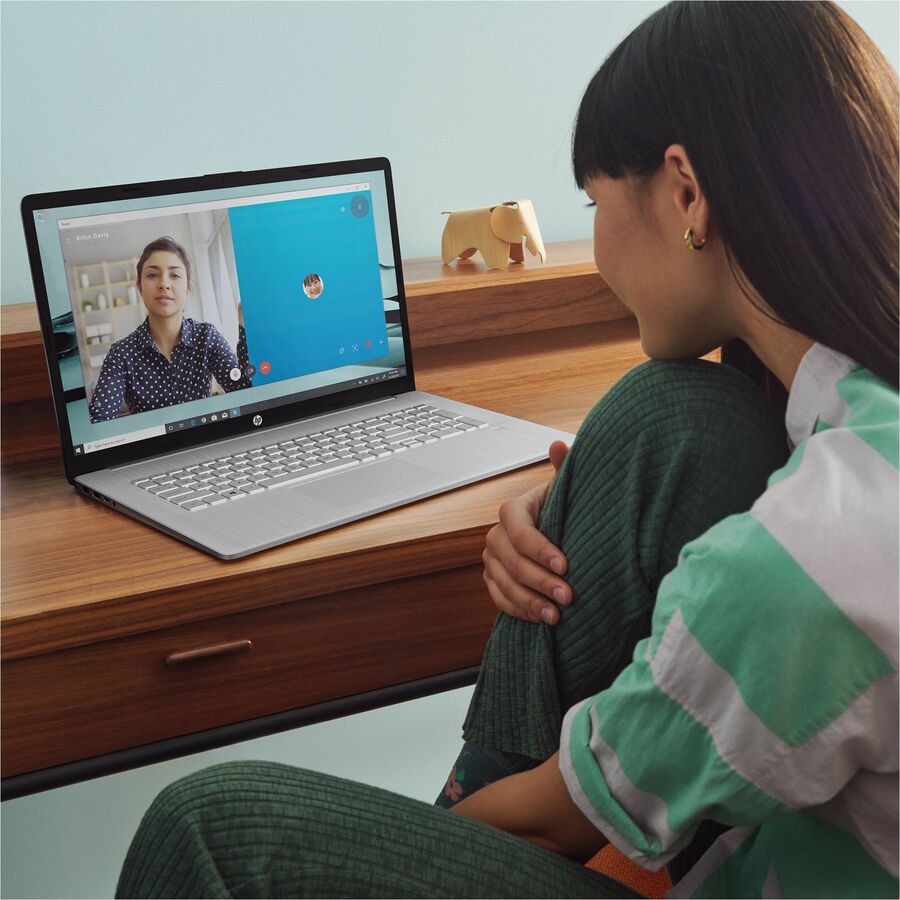 Ordinateur portable HP 17-c3000 17-cn3010ca 17,3" - Full HD - Intel Core i5 13e génération i5-1335U - 8 Go - SSD 1 To - Argent naturel 7P9W1UA#ABL