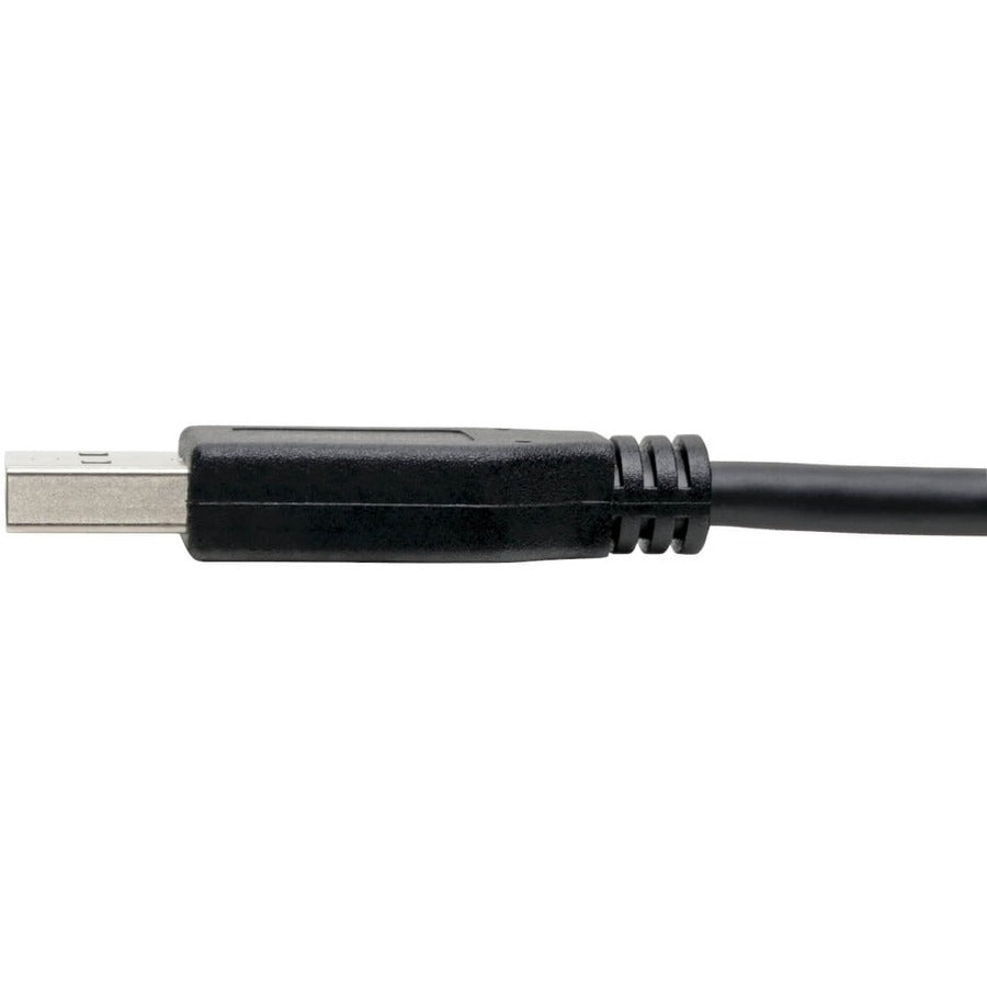 Câble USB 3.1 Gen 1 (5 Gbit/s) Tripp Lite, USB Type-C (USB-C) vers USB Type-A M/M, 6 pi. U428-006