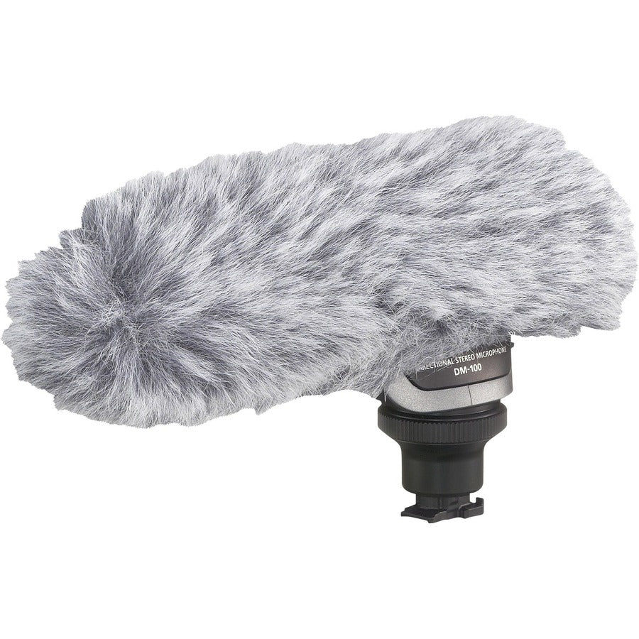 Canon DM-100 Plug-in Microphone 2591B002