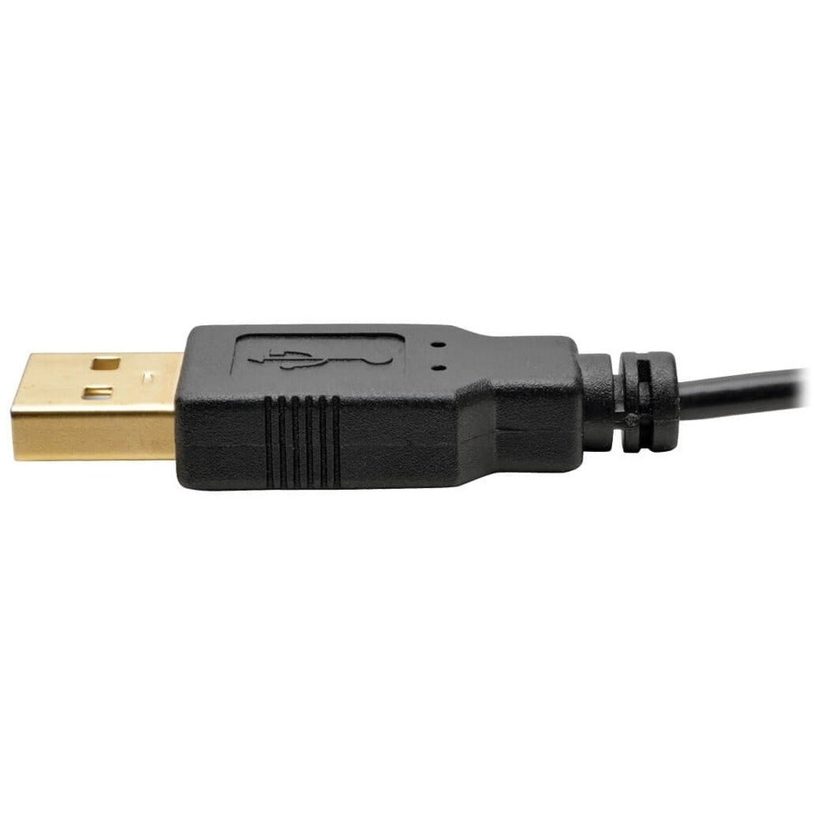 Convertisseur actif HDMI vers DisplayPort 4K (M/F) Tripp Lite par Eaton P130-06N-DP-V2 P130-06N-DP-V2