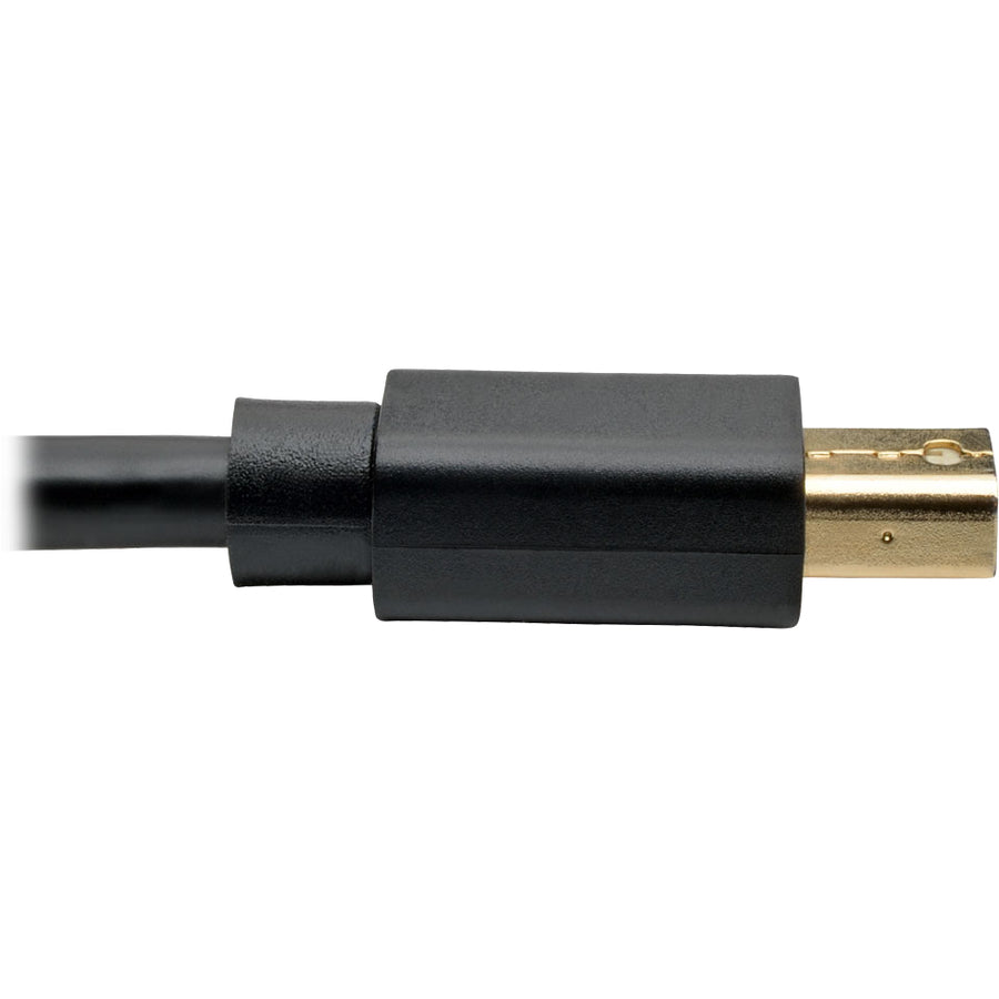Câble audio/vidéo DisplayPort/Mini DisplayPort Tripp Lite par Eaton P583-003-BK P583-003-BK