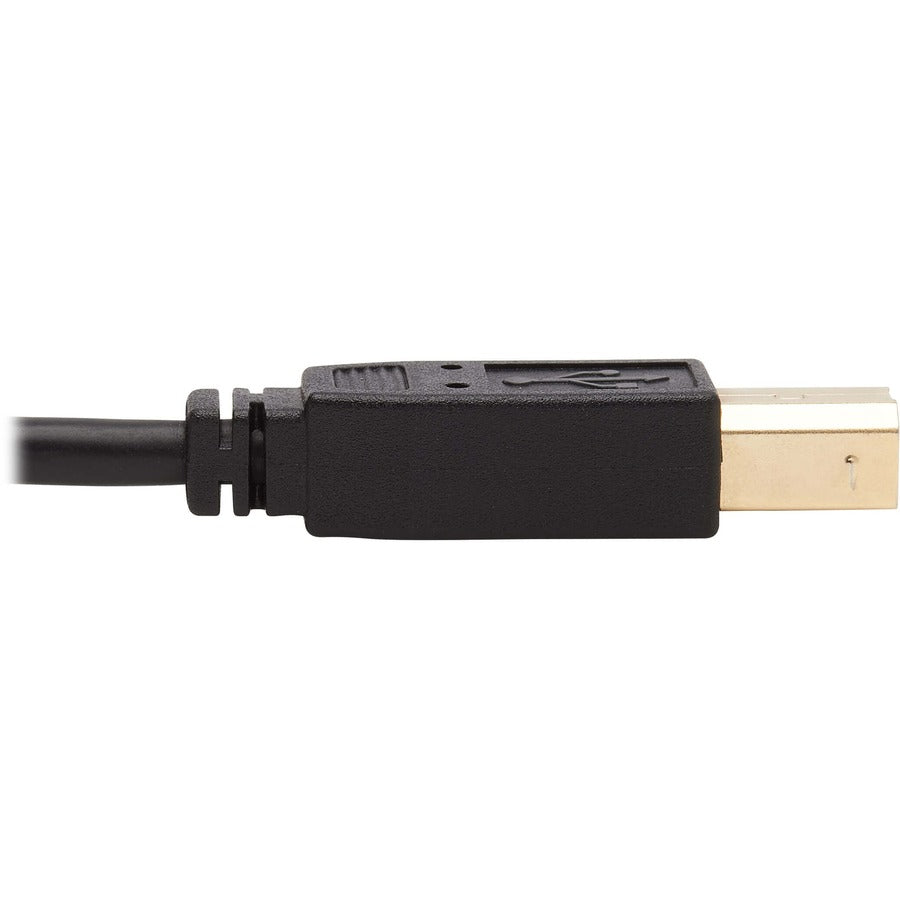 Câble KVM Tripp Lite par Eaton P784-006-DVU P784-006-DVU
