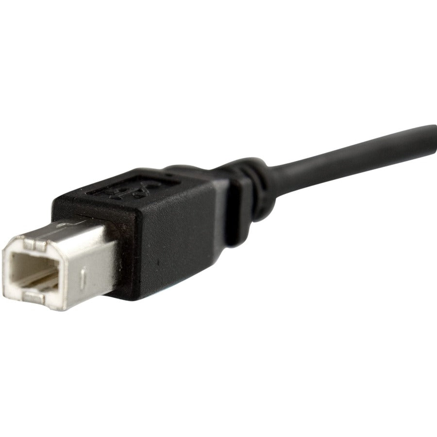 Câble USB B vers B pour montage sur panneau StarTech.com de 30 cm - F/M USBPNLBFBM1