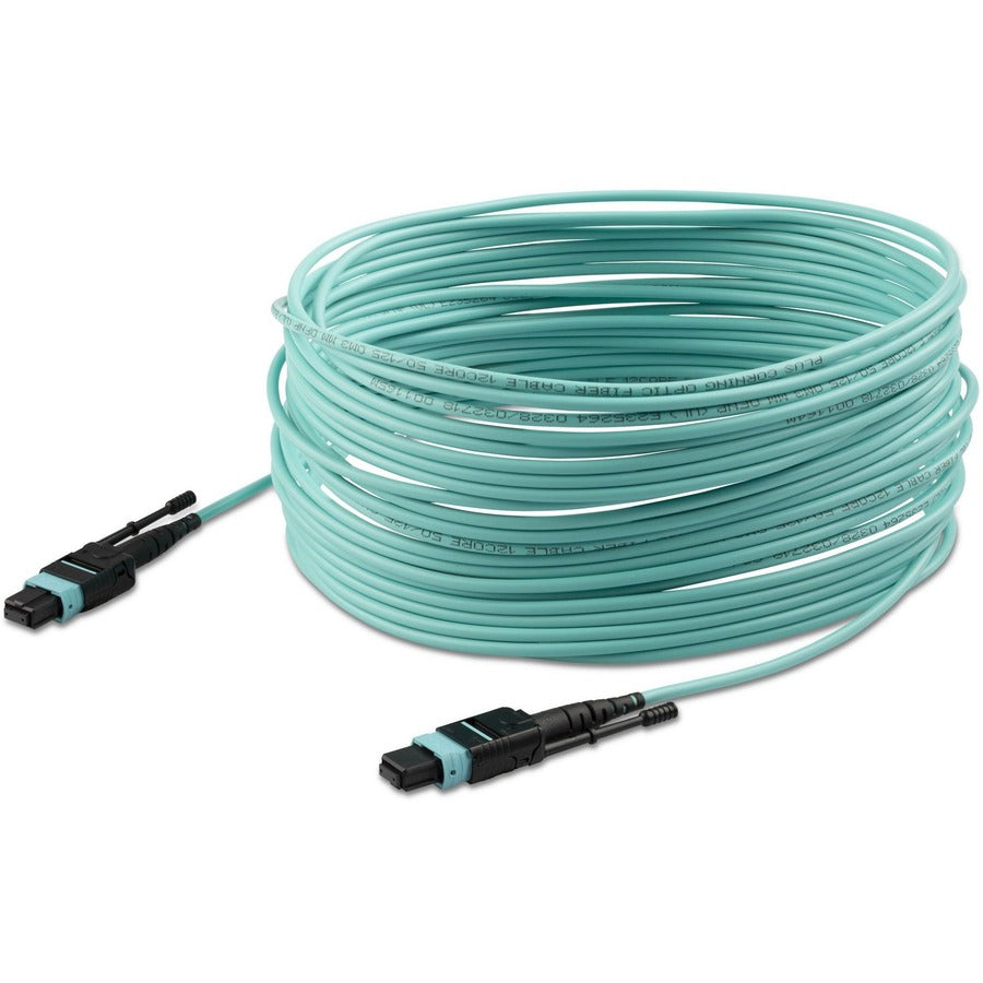 Câble à fibre optique multimode OM3 MTP(F)/PC de 10 m (30 pi), OFNP Plenum, 50/125 µm, 40G, faible perte d'insertion, cordon de raccordement à fibre optique MPO12PL10M
