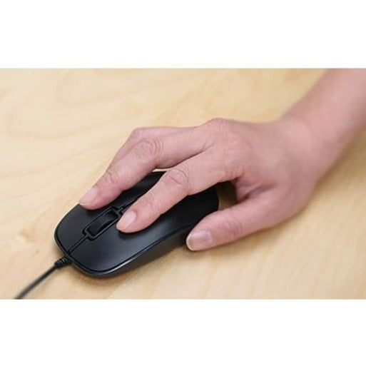Souris optique filaire USB à 3 boutons IOGEAR conforme à la norme TAA GME423TAA