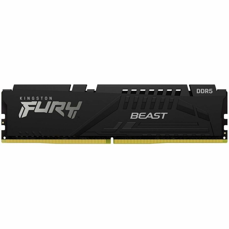 Module de mémoire DDR5 SDRAM Kingston FURY Beast 16 Go KF560C36BBE2-16