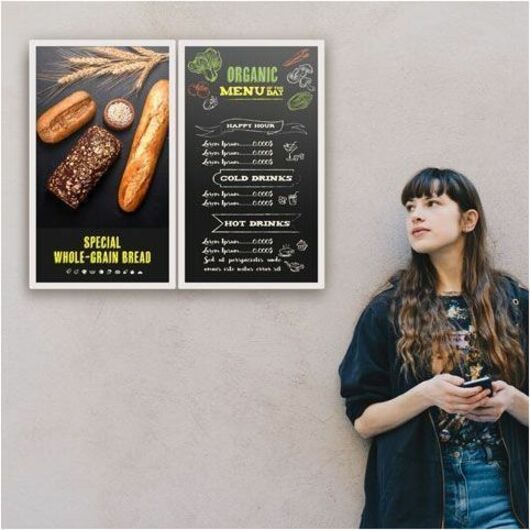 Écran d'affichage numérique Sharp EP-C251 EPC251