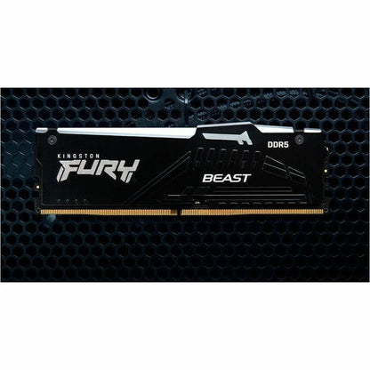Module de mémoire DDR5 SDRAM Kingston FURY Beast 16 Go KF564C32BBA-16