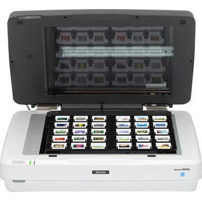 Scanner à plat Epson Expression 12000XL-PH - Optique 2400 dpi 12000XL-PH