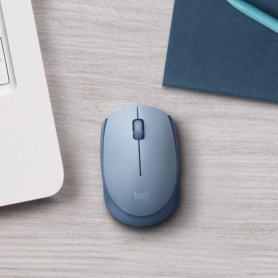 Souris Logitech M170 910-006863
