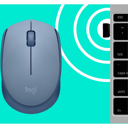 Souris Logitech M170 910-006863