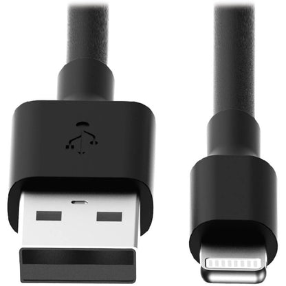 Câble de charge USB/synchronisation Lightning 10 pouces Tripp Lite pour Apple iPhone/iPad Noir 10 pouces Lot de 10 10 pièces M100-10N-BK-10
