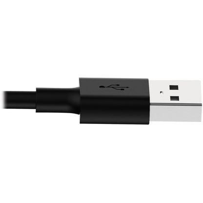 Câble de charge USB/synchronisation Lightning 10 pouces Tripp Lite pour Apple iPhone/iPad Noir 10 pouces Lot de 10 10 pièces M100-10N-BK-10