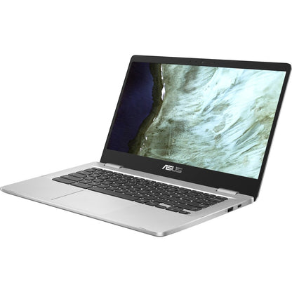 Asus Chromebook C423 C423NA-RH91T-CB Chromebook tactile 14" - HD - 1366 x 768 - Intel Pentium N4200 Quad-core (4 Core) 1,10 GHz - 4 Go RAM - 32 Go Mémoire Flash - Argent C423NA-RH91T-CB