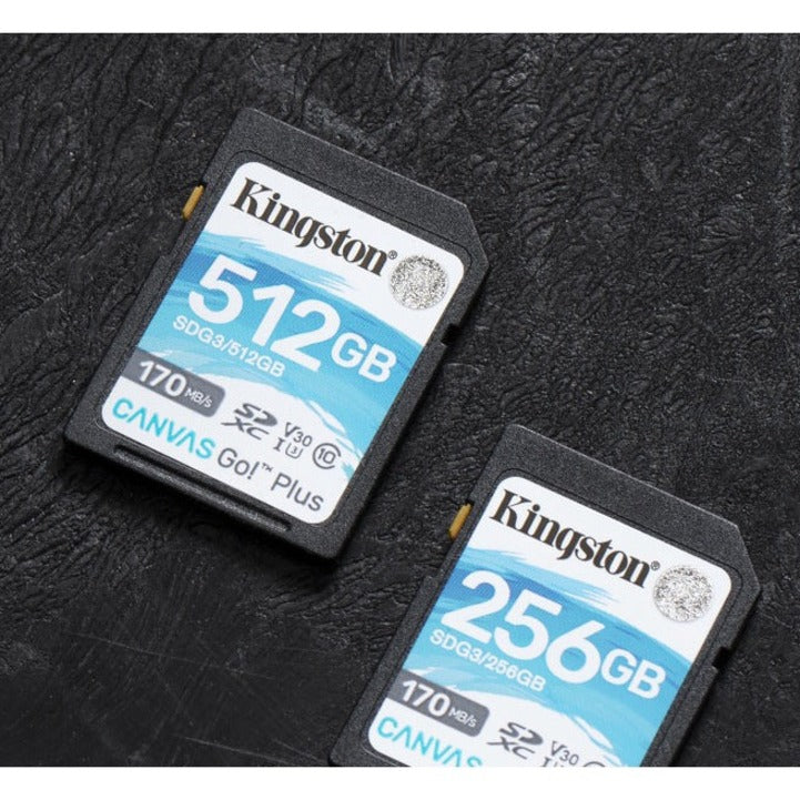 Carte mémoire Kingston Canvas Go! Plus 512 Go Classe 10/UHS-I (U3) SDXC SDG3/512 Go