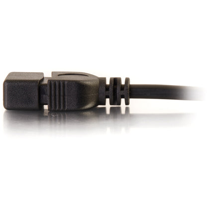 Câble d'extension USB C2G 52106