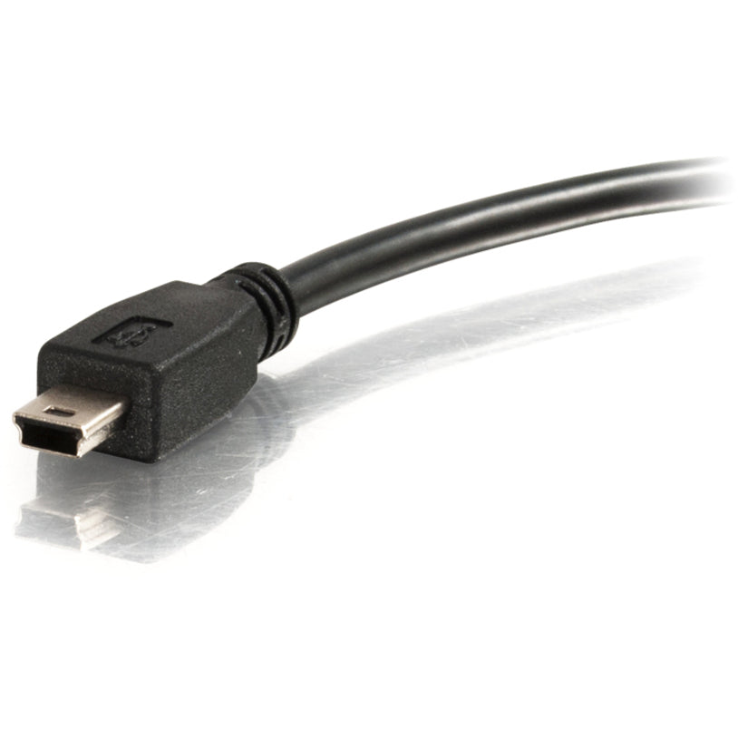 Câble USB C2G 27005