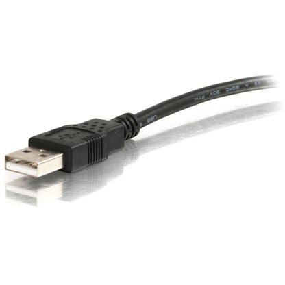 Câble USB C2G 27005