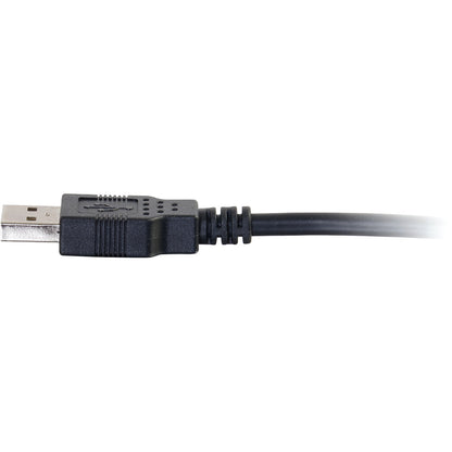 Câble USB 2.0 A mâle vers A mâle C2G 28106