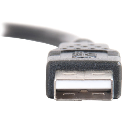 Câble USB 2.0 A mâle vers A mâle C2G 28106