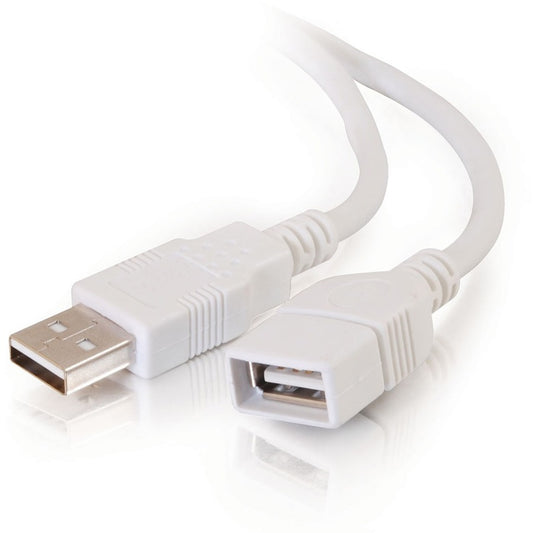 Câble d'extension USB C2G 19003