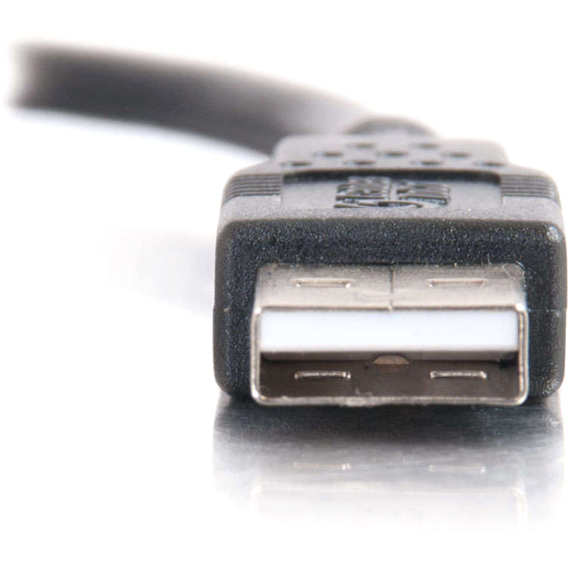 Câble USB 2.0 A mâle vers A mâle C2G 28105
