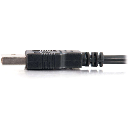 Câble USB 2.0 A mâle vers A mâle C2G 28105