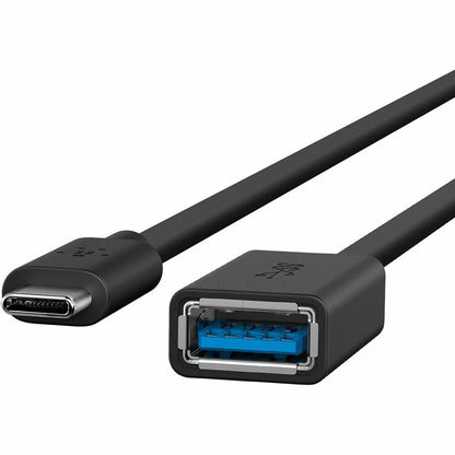 Câble de transfert de données USB de synchronisation/charge Belkin B2B150-BLK