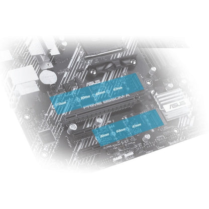 Carte mère de bureau Asus Prime B550M-A/CSM - Chipset AMD - Socket AM4 - Micro ATX PRIME B550M-A/CSM