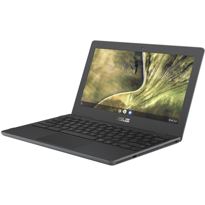 Asus Chromebook C204 C204MA-SS02-CB Ordinateur portable robuste 11,6" - HD - 1366 x 768 - Intel Celeron N4020 Dual-core (2 cœurs) 1,10 GHz - 4 Go de RAM - 32 Go de mémoire flash - Gris foncé C204MA-SS02-CB
