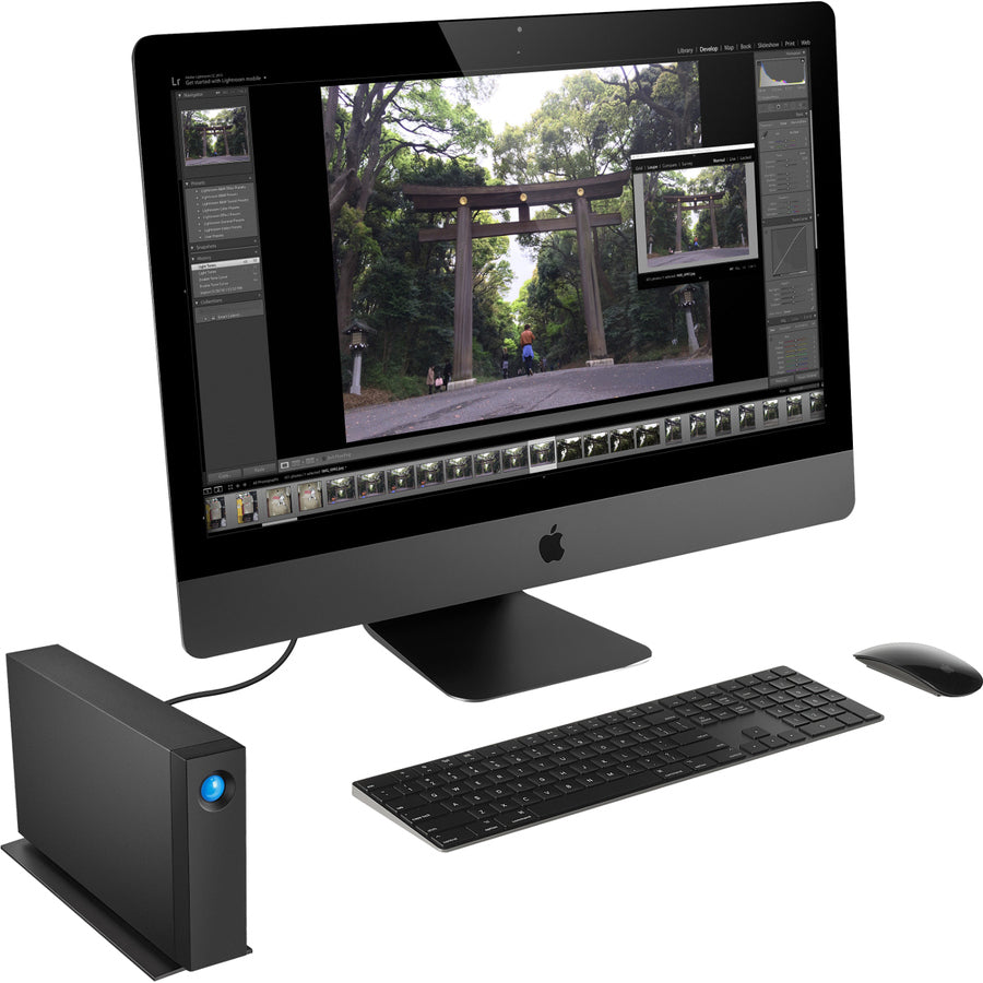 Disque dur de bureau LaCie d2 Professional STHA10000800 10 To - Externe 3,5" STHA10000800