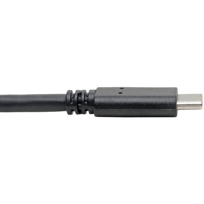 Câble USB 3.1 Gen 1 (5 Gbit/s) Tripp Lite, USB Type-C (USB-C) vers USB Type-A M/M, 6 pi. U428-006