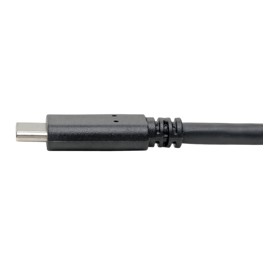 Câble USB 3.1 Gen 1 (5 Gbit/s) Tripp Lite, USB Type-C (USB-C) vers USB Type-A M/M, 6 pi. U428-006