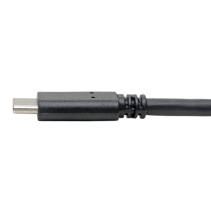 Câble USB 3.1 Gen 1 (5 Gbit/s) Tripp Lite, USB Type-C (USB-C) vers USB Type-A M/M, 6 pi. U428-006