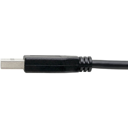 Câble USB 3.1 Gen 1 (5 Gbit/s) Tripp Lite, USB Type-C (USB-C) vers USB Type-A M/M, 6 pi. U428-006