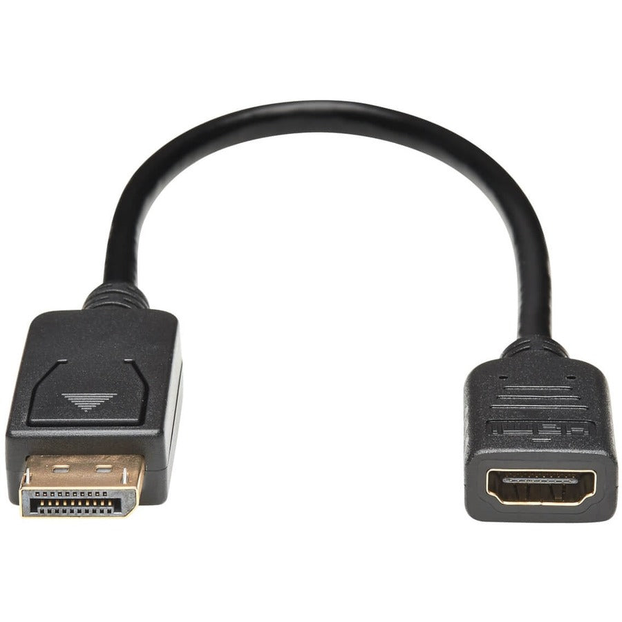 Adaptateur convertisseur vidéo DisplayPort vers HDMI Tripp Lite P136-001, M/F, 1 pi, noir P136-001