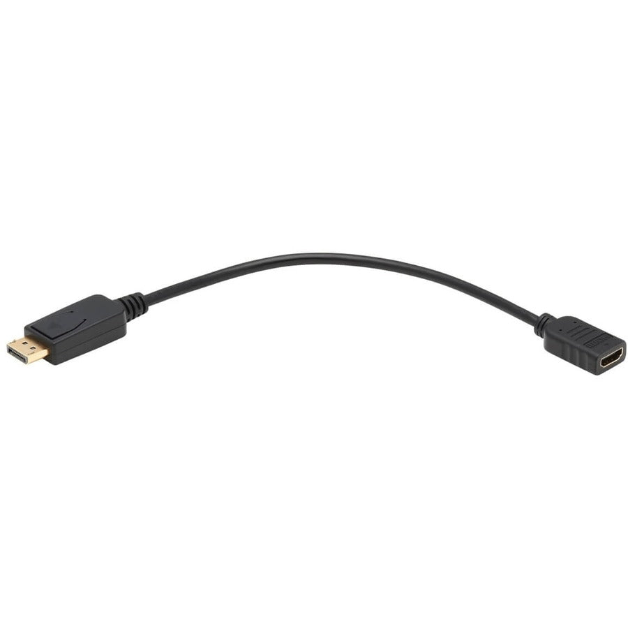 Adaptateur convertisseur vidéo DisplayPort vers HDMI Tripp Lite P136-001, M/F, 1 pi, noir P136-001