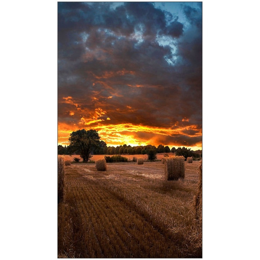 Écran d'affichage numérique Samsung VM55B-U LH55VMBUBGBXGO