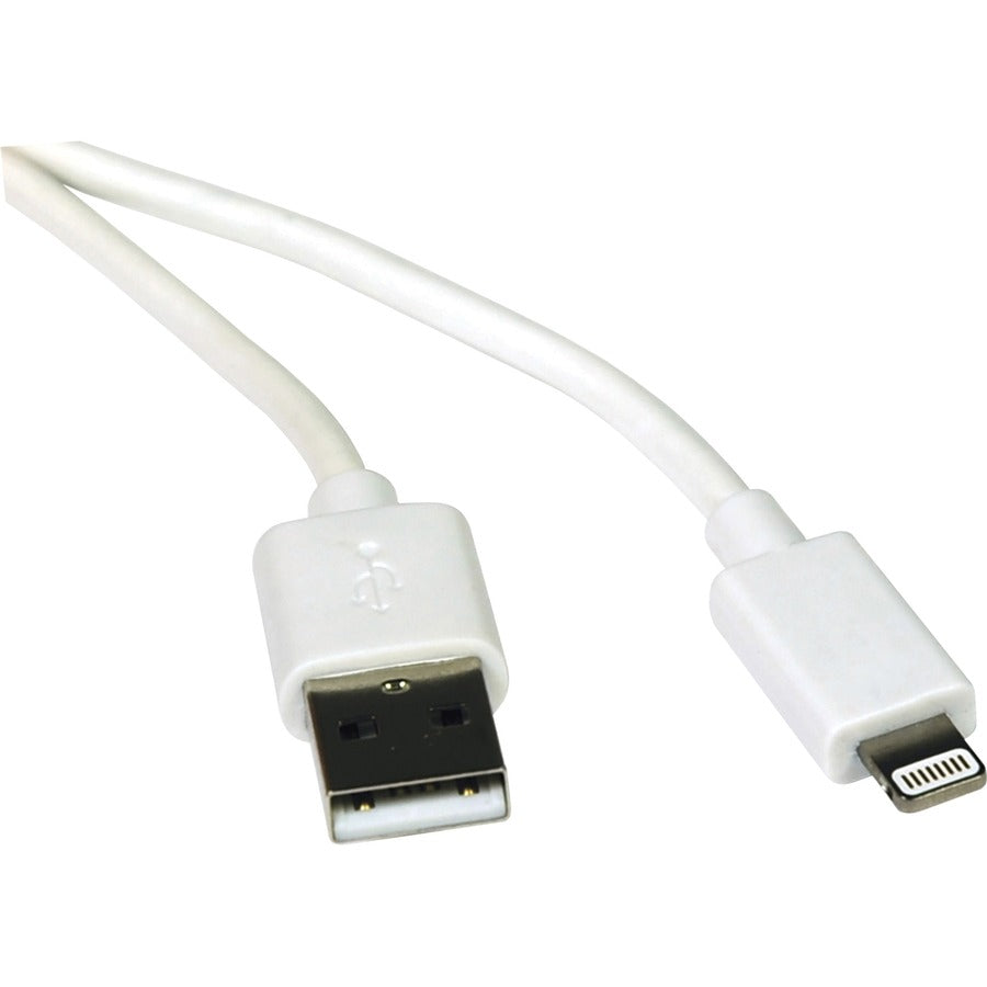 Câble de synchronisation/chargement USB Lightning de 3 pieds de Tripp Lite pour Apple iPhone/iPad Blanc 3' M100-003-WH