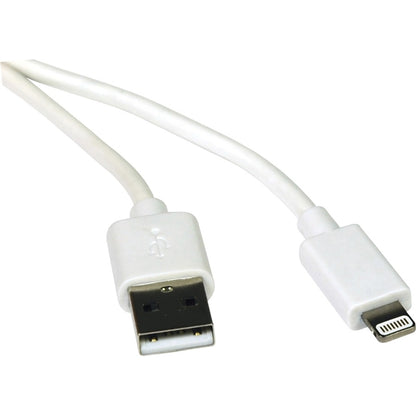 Câble de synchronisation/chargement USB Lightning de 3 pieds de Tripp Lite pour Apple iPhone/iPad Blanc 3' M100-003-WH