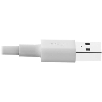 Câble de synchronisation/chargement USB Lightning de 3 pieds de Tripp Lite pour Apple iPhone/iPad Blanc 3' M100-003-WH