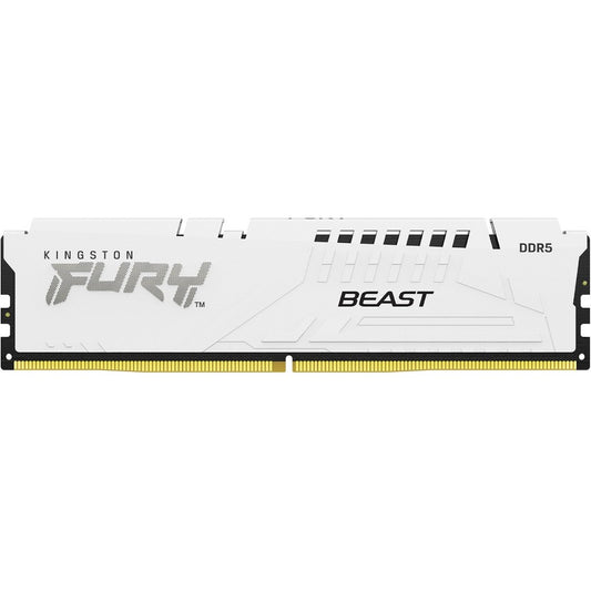 Module de mémoire DDR5 SDRAM Kingston FURY Beast 16 Go KF552C40BW-16