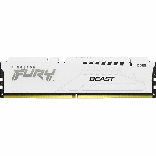 Module de mémoire DDR5 SDRAM Kingston FURY Beast 16 Go KF552C36BWE-16