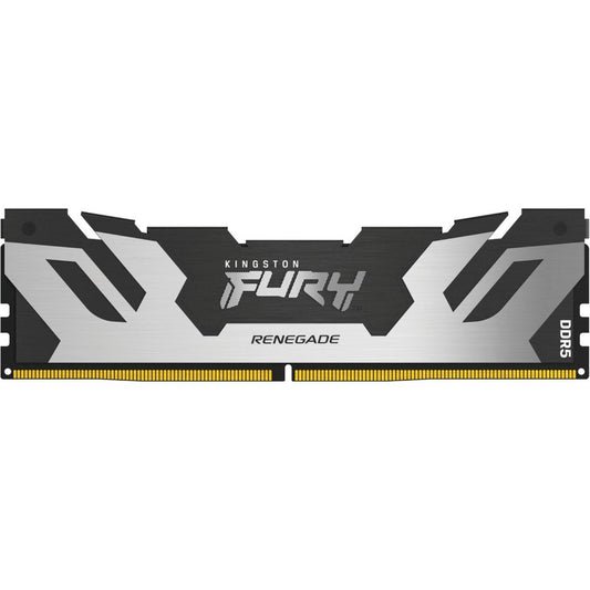 Module de mémoire DDR5 SDRAM Kingston FURY Renegade 16 Go KF564C32RS-16