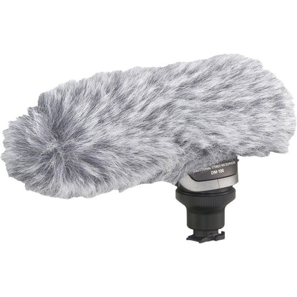 Canon DM-100 Plug-in Microphone 2591B002