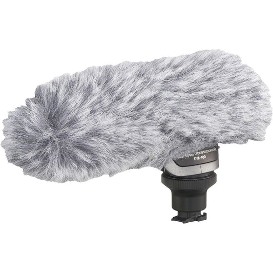 Microphone enfichable Canon DM-100 2591B002