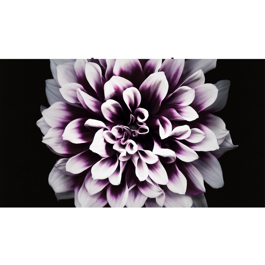 Samsung The Wall, écran LED intelligent IW008J LH008IWJMWS/ZA