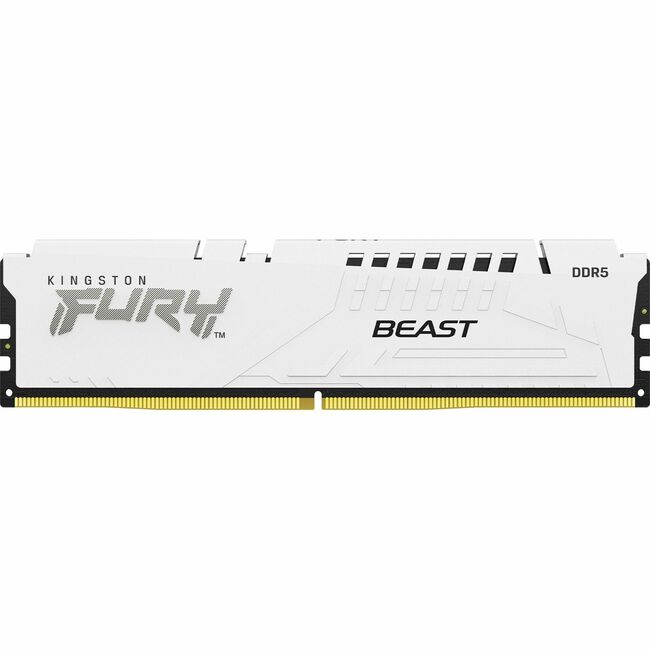 Module de mémoire DDR5 SDRAM Kingston FURY Beast 32 Go KF560C40BW-32