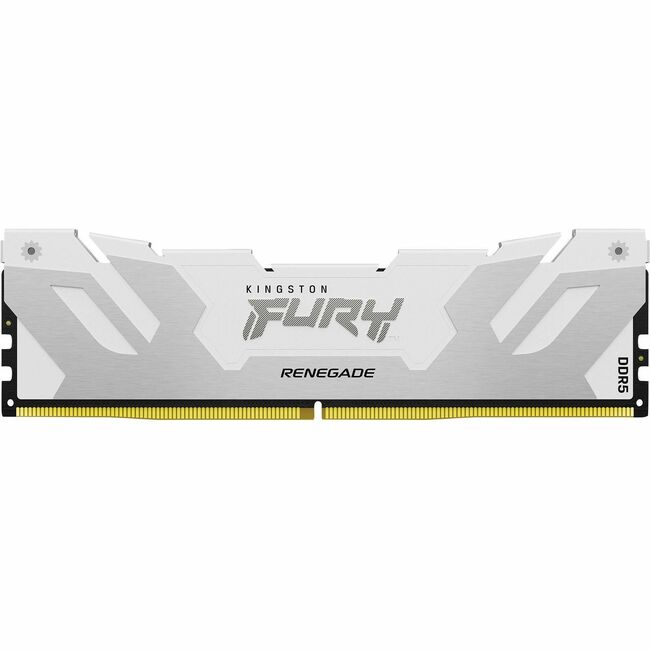Module de mémoire DDR5 SDRAM Kingston FURY Renegade 16 Go KF560C32RWA-16