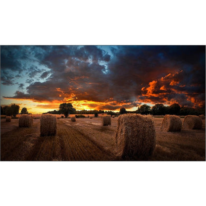 Écran d'affichage numérique Samsung VM46B-U LH46VMBUBGBXGO